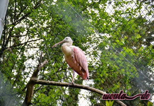 Zoo.Augsburg.2021-020