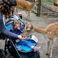 Wildpark Poing, Juni 2020