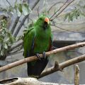 Zoo Augsburg, Juli 2017