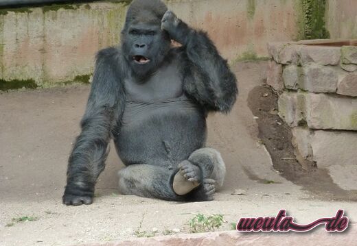 Tierpark.Nuernberg.2012-027