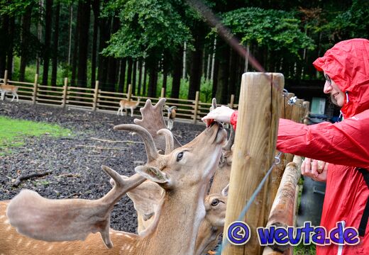 Wildpark.Poing.Aug2023-006