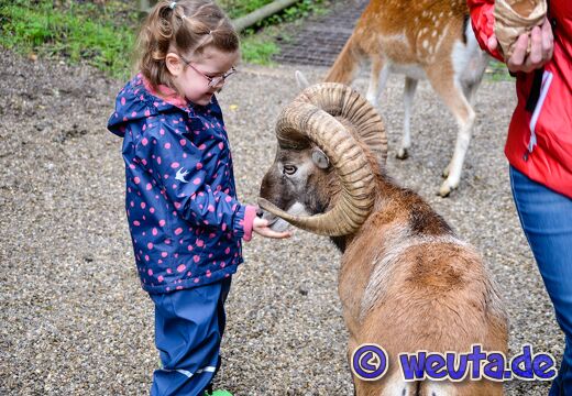 Wildpark.Poing.Aug2023-021