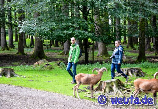 Wildpark.Poing.Aug2023-022