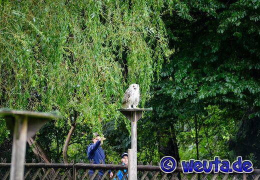 Wildpark.Poing.Aug2023-040