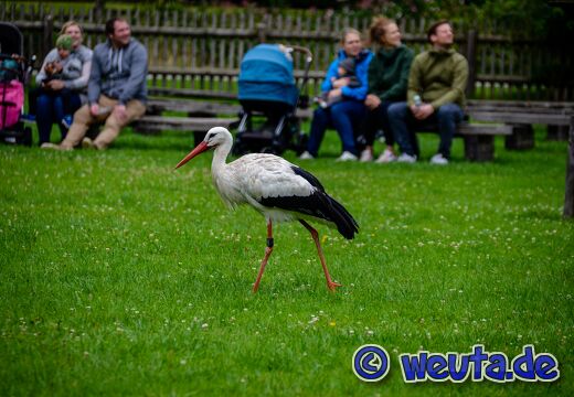 Wildpark.Poing.Aug2023-049