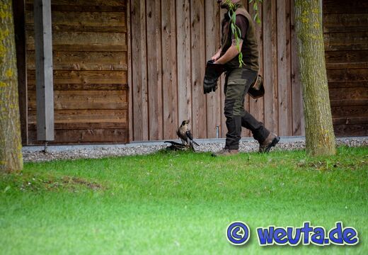 Wildpark.Poing.Aug2023-051