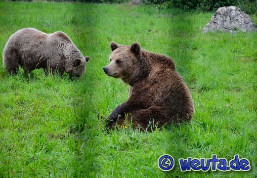 Wildpark.Poing.Aug2023-077