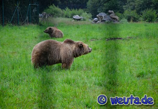 Wildpark.Poing.Aug2023-078